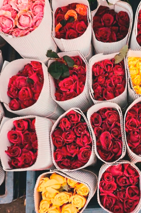 ArtRoses-Premium-bouquets ArtRoses-Premium-bouquets