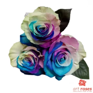 ArtRoses_tinted016