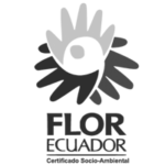 ArtRoses_flor_bn ArtRoses_flor_bn